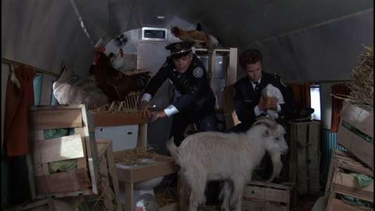 Police Academy 5: Assignment Miami Beach - Backdrop