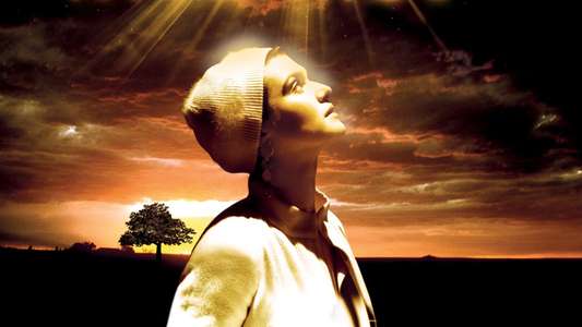 The Fountain - Backdrop