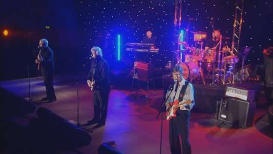 The Shadows: The Final Tour - Backdrop