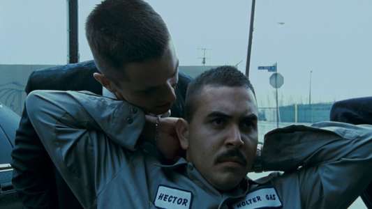 Harsh Times - Backdrop