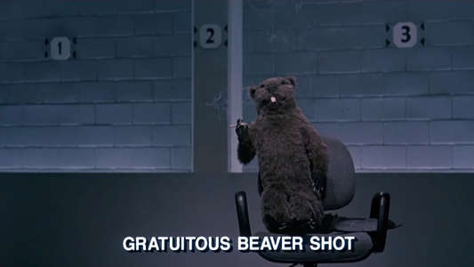 National Lampoon's Loaded Weapon 1 - Backdrop