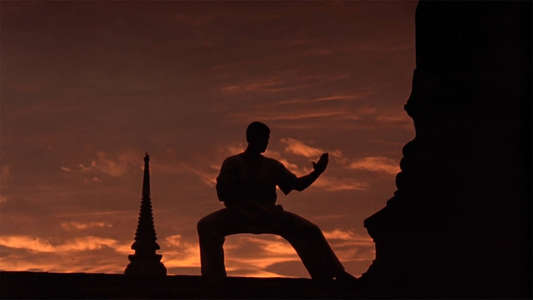 Kickboxer - Backdrop