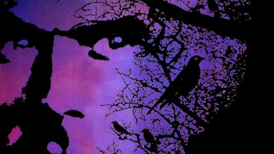 The Dark Half - Backdrop