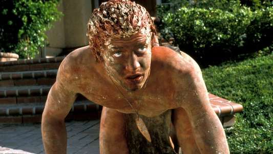 Encino Man - Backdrop