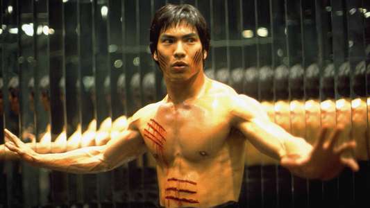 Dragon: The Bruce Lee Story - Backdrop