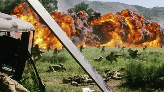 We Were Soldiers - Backdrop