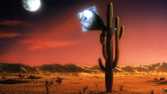 Arizona Dream - Backdrop