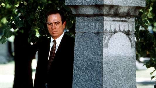 U.S. Marshals - Backdrop