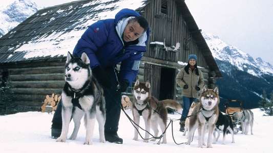 Snow Dogs - Backdrop