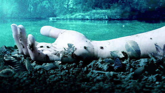 Mean Creek - Backdrop