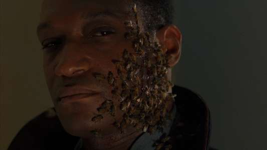 Candyman: Day of the Dead - Backdrop
