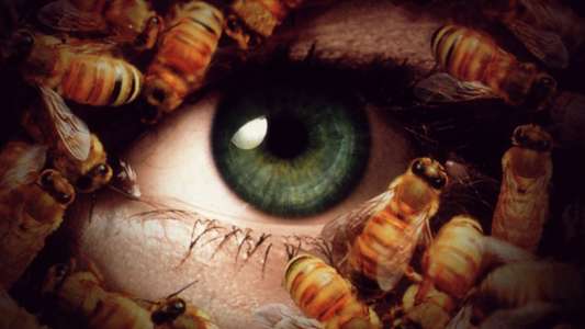 Candyman: Day of the Dead - Backdrop