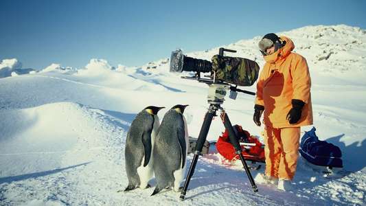 Of Penguins and Men - Backdrop