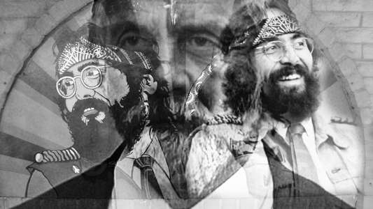 a/k/a Tommy Chong - Backdrop
