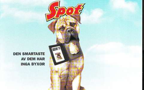 See Spot Run - Backdrop