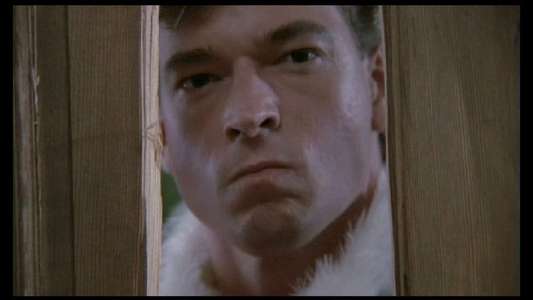 Silent Night  Deadly Night Part 2 - Backdrop