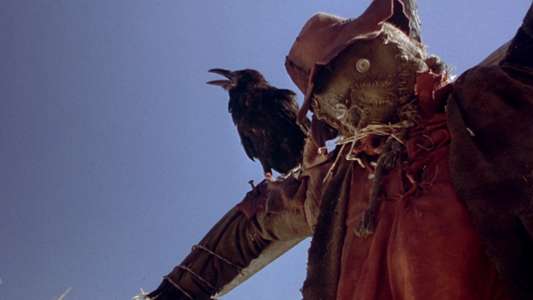 Night of the Scarecrow - Backdrop