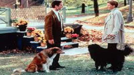 Dog Park - Backdrop