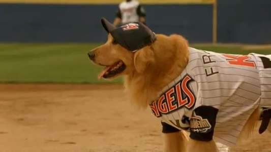 Air Bud: Seventh Inning Fetch - Backdrop