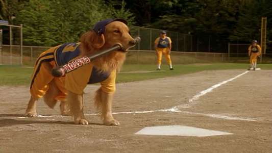 Air Bud: Seventh Inning Fetch - Backdrop