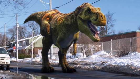 Dino Dan - Backdrop