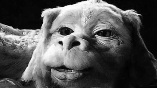 The NeverEnding Story III - Backdrop