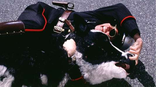 Me  Myself & Irene - Backdrop