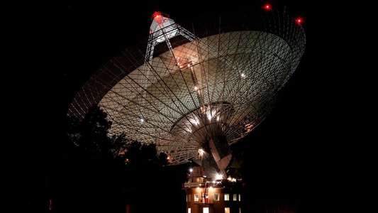The Dish - Backdrop