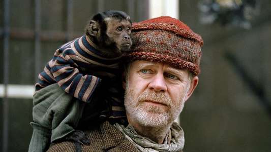 The Wool Cap - Backdrop