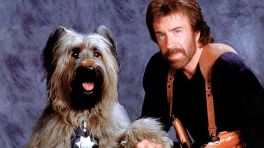 Top Dog - Backdrop