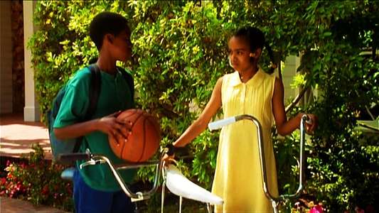 Love & Basketball - Backdrop