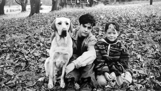 Far from Home: The Adventures of Yellow Dog - Backdrops