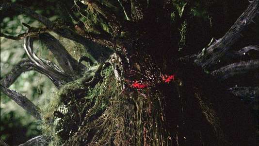 Man-Thing - Backdrop