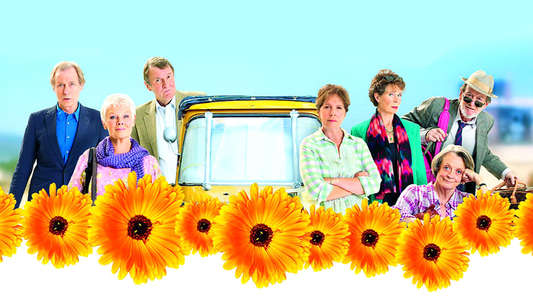 The Best Exotic Marigold Hotel - Backdrop