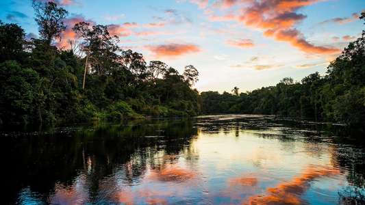 Earth's Great Rivers - Backdrop