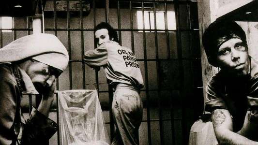 Down by Law - Backdrop