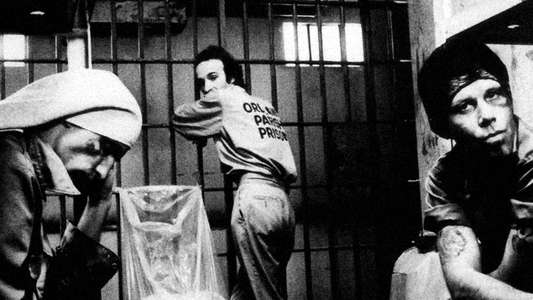 Down by Law - Backdrop