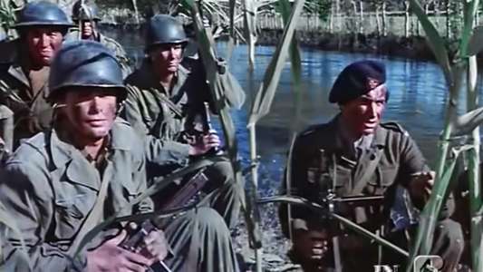 From Hell to Victory - Backdrop