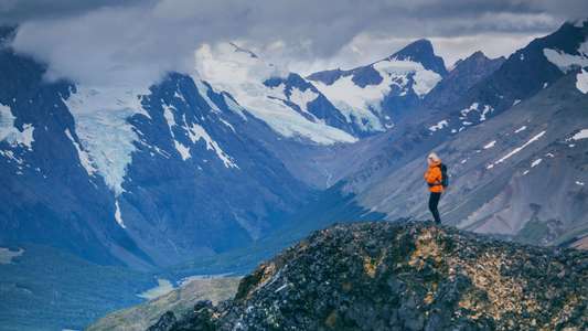 Wild Life - Backdrops