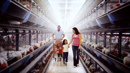 Poisoned: The Dirty Truth About Your Food - Backdrop