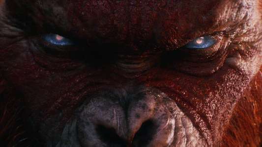 Godzilla x Kong: The New Empire - Backdrops