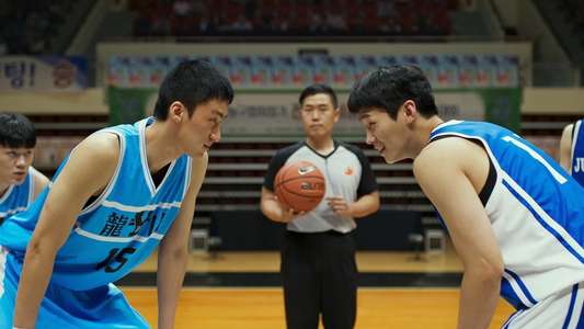 Rebound - Backdrop