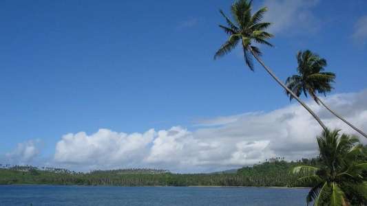 Return to the Blue Lagoon - Backdrop