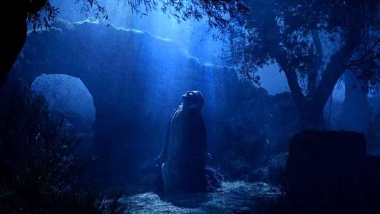 The Passion of the Christ - Backdrop