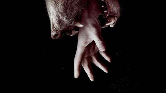 Hemlock Grove - Backdrops