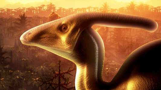 Bizarre Dinosaurs - Backdrop