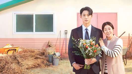 The Good Bad Mother - Backdrops