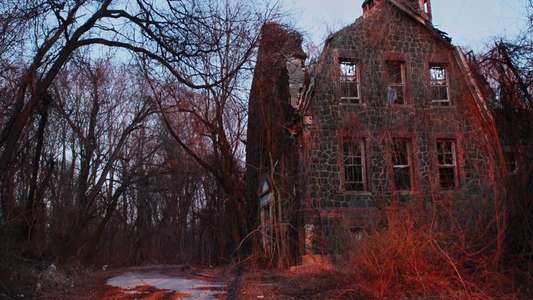 Cropsey - Backdrop
