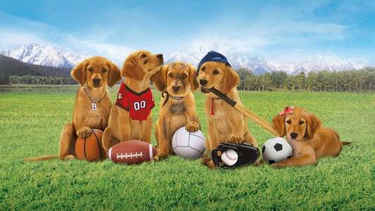 Air Buddies - Backdrop