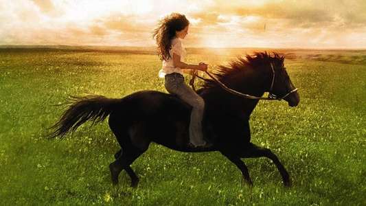 Flicka - Backdrops